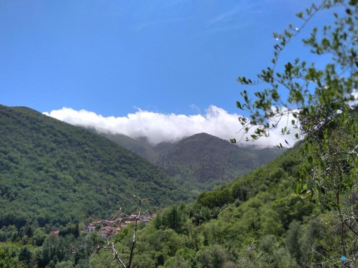 La Cantina Del Sole Riccò del Golfo di Spezia Kültér fotó