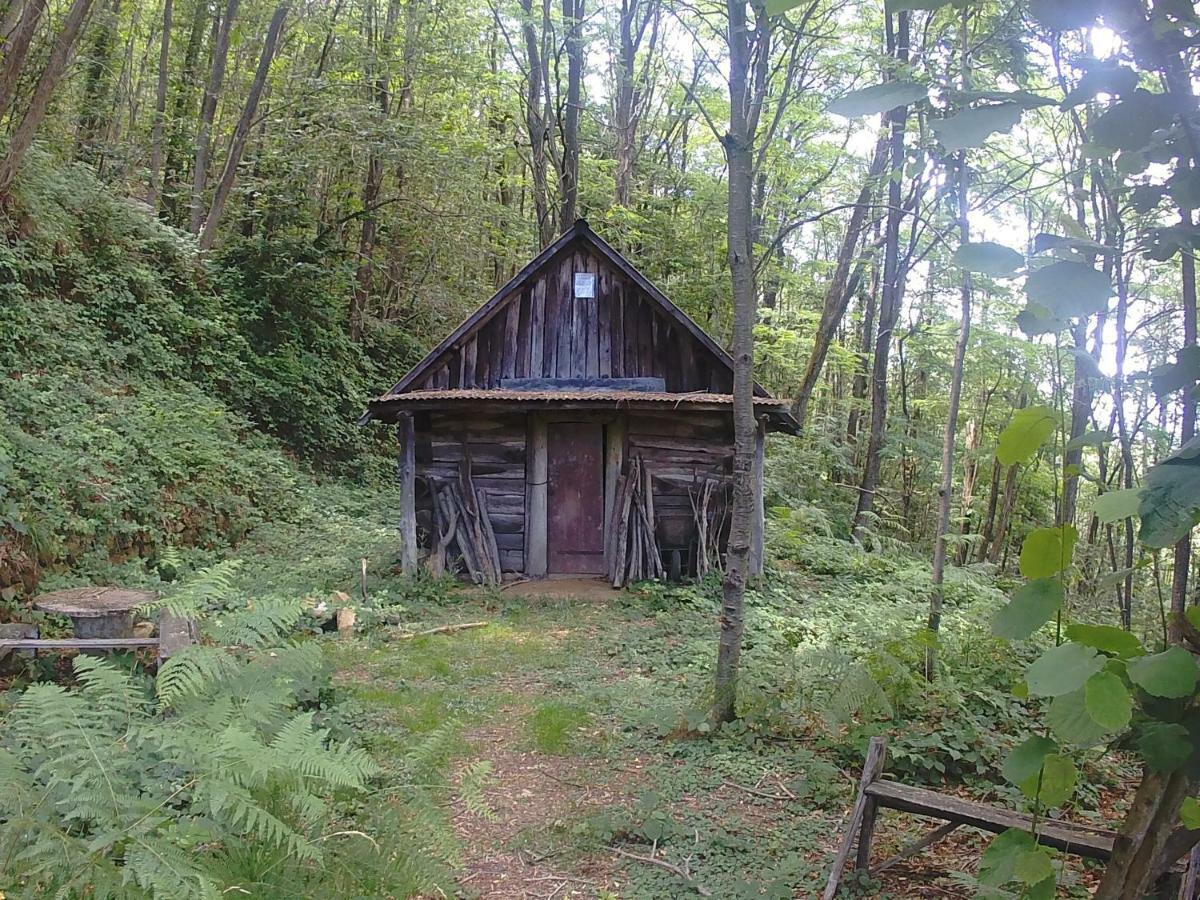 La Cantina Del Sole Riccò del Golfo di Spezia Kültér fotó
